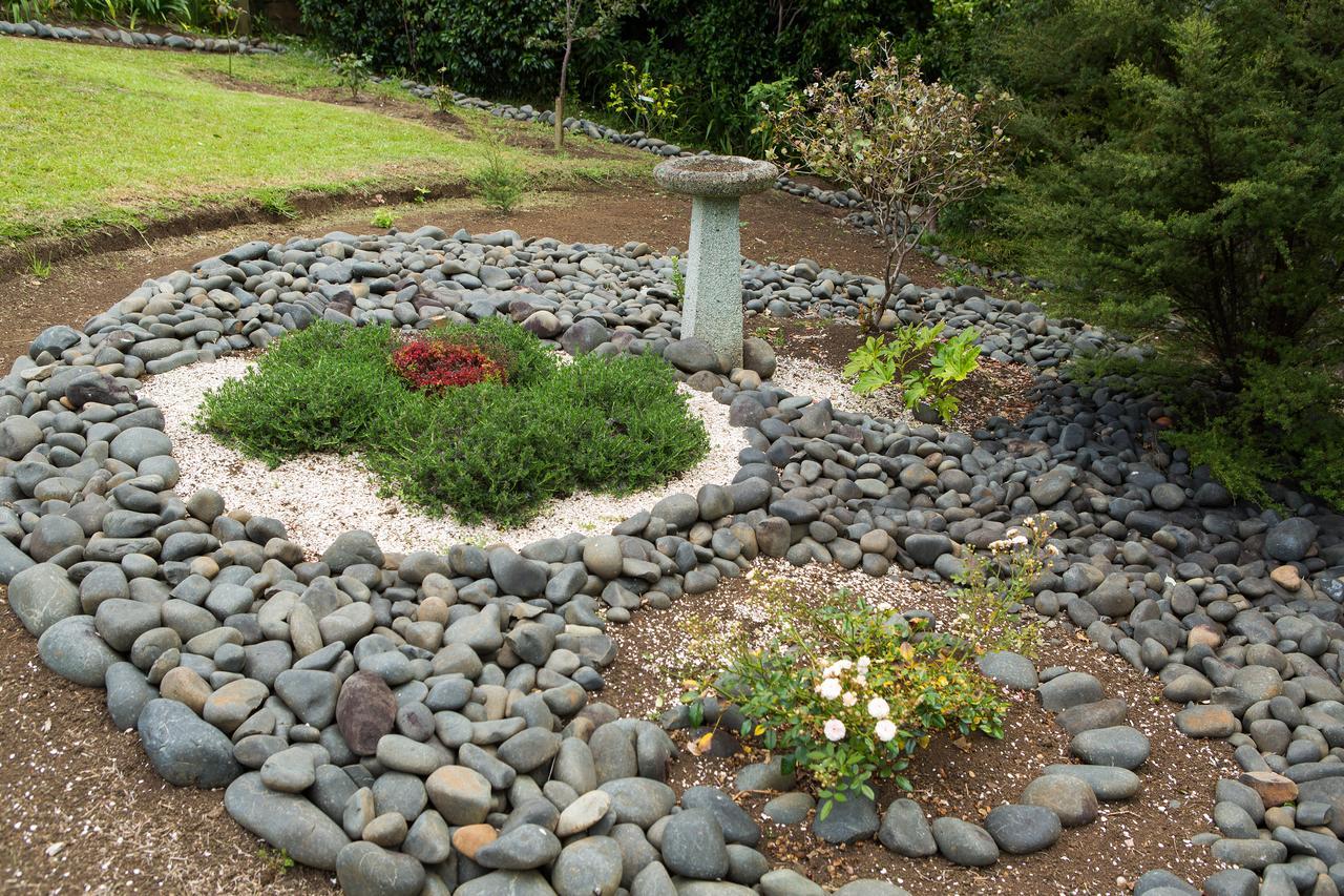 Ocean View B&B Whitianga Exterior photo